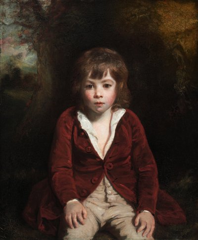 Ritratto del giovane Bunbury da Joshua Reynolds